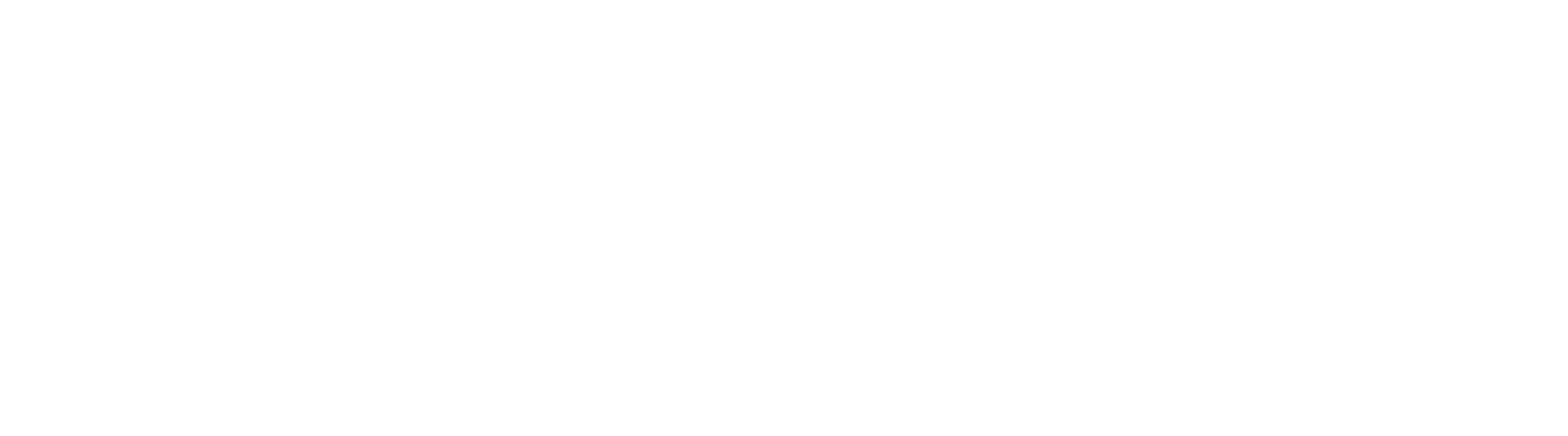 STEEL GAL LOGO